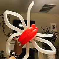 picture of a spider balloon twisting insect